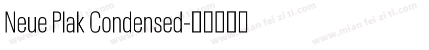 Neue Plak Condensed字体转换
